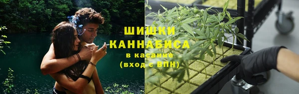 кокс Ладушкин