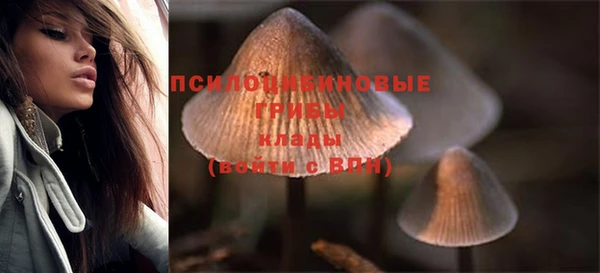 мдма Лагань
