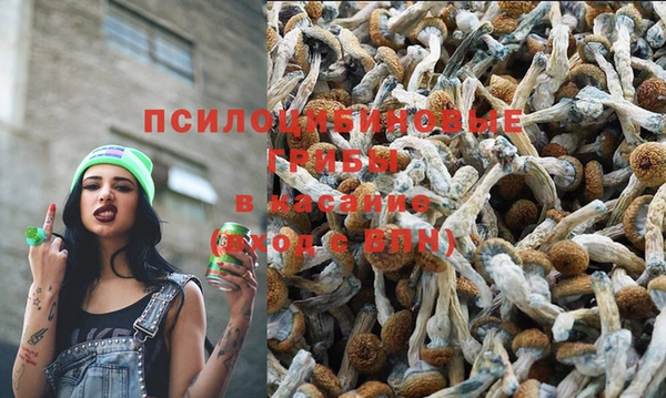 мдма Лагань