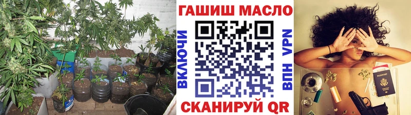 ТГК гашишное масло  Купить где  Сосновоборск 
