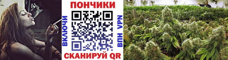 МАРИХУАНА Bruce Banner Купить Сосновоборск
